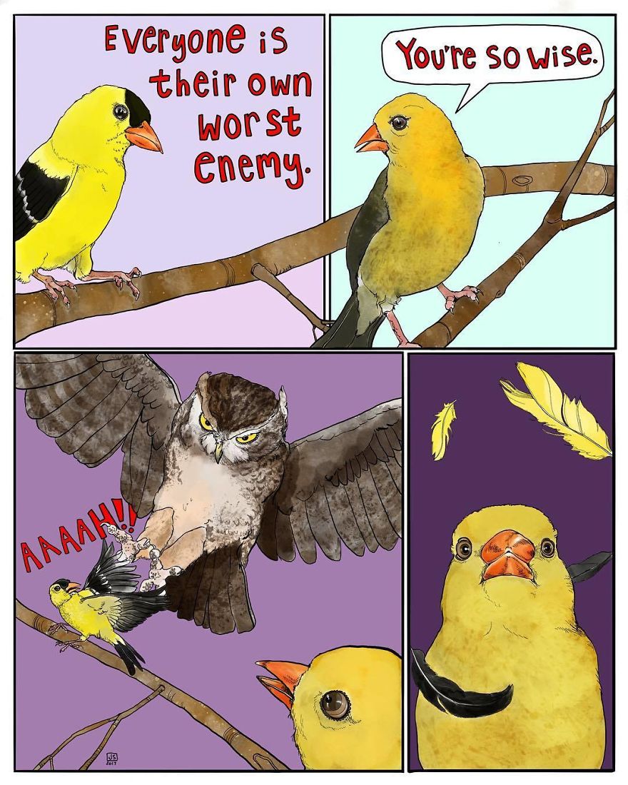 I Make Animal Comics To Cope With Anxiety