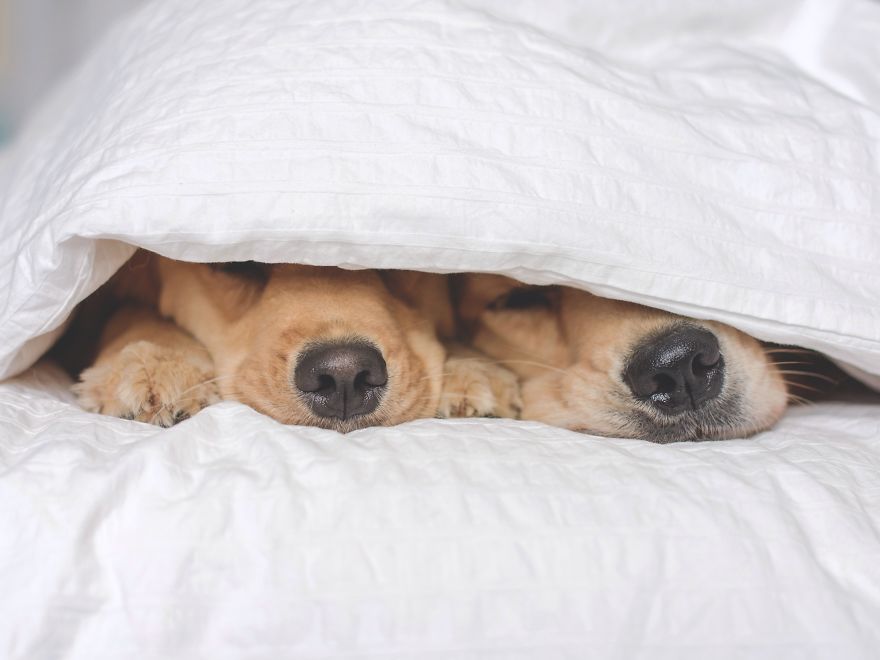 The Most Adorable Snuggling Sisters The Most Adorable Snuggling Sisters