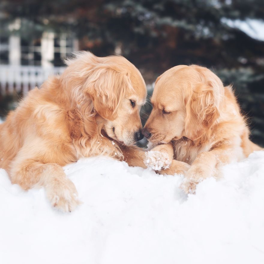 The Most Adorable Snuggling Sisters The Most Adorable Snuggling Sisters