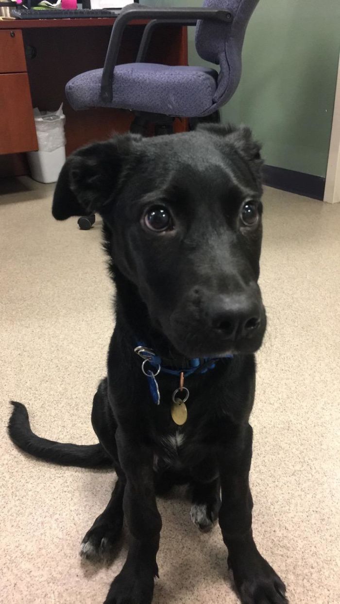 People Who Work With Animals Are Sharing Their Cutest Photos, And We Can’t Get Enough People Who Work With Animals Are Sharing Their Cutest Photos, And We Can’t Get Enough