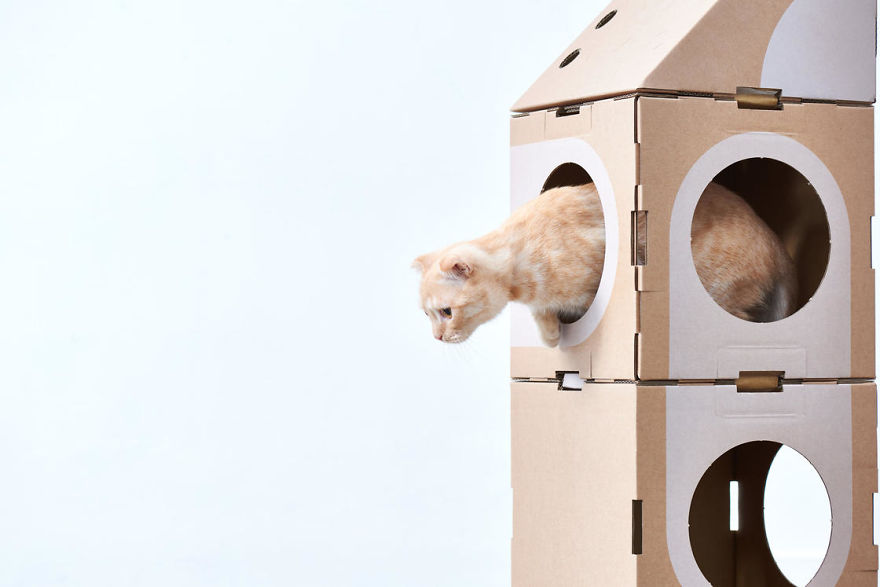 Architect Couple Turns Cardboard Boxes Into Stackable Cat Fort, And Here’s How Cats React Architect Couple Turns Cardboard Boxes Into Stackable Cat Fort, And Here’s How Cats React