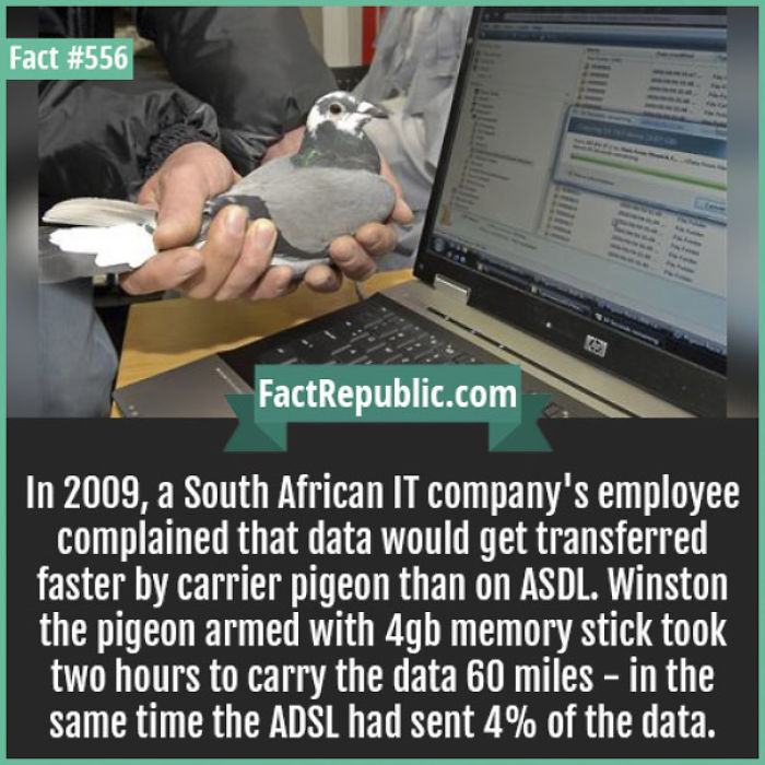 254 Incredible Facts That You Probably Didn&#8217;t Know