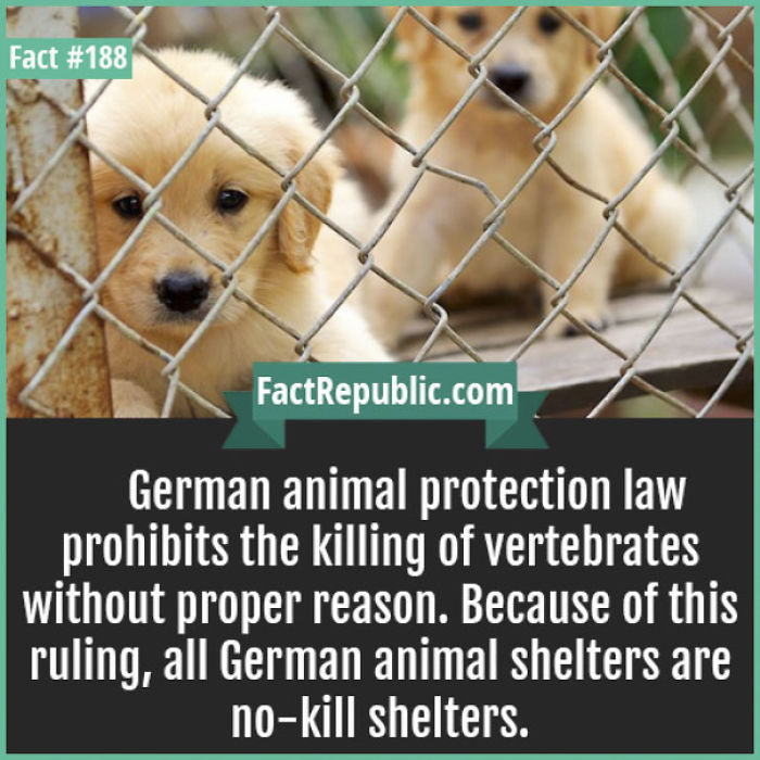 254 Incredible Facts That You Probably Didn&#8217;t Know