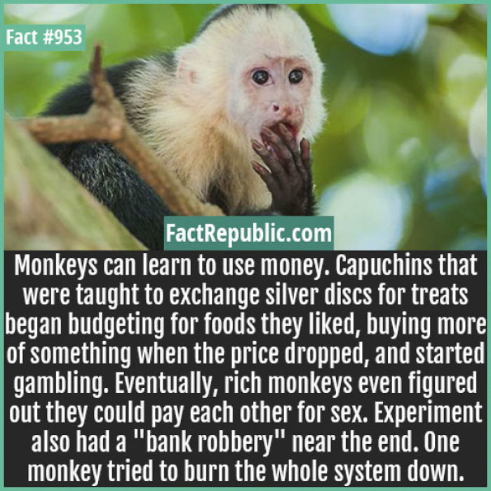 254 Incredible Facts That You Probably Didn&#8217;t Know