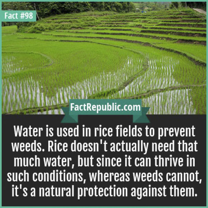 254 Incredible Facts That You Probably Didn&#8217;t Know