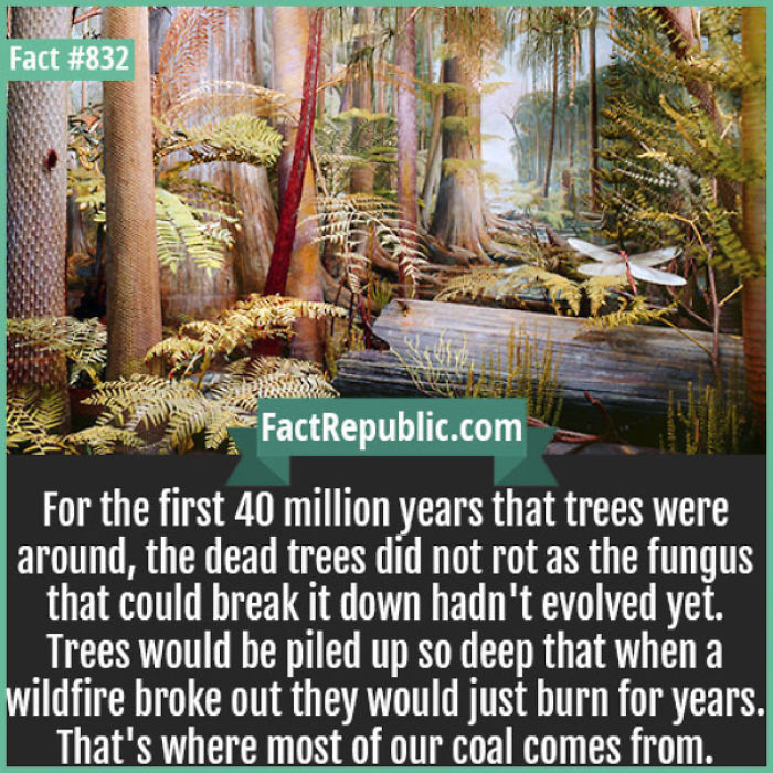 254 Incredible Facts That You Probably Didn&#8217;t Know
