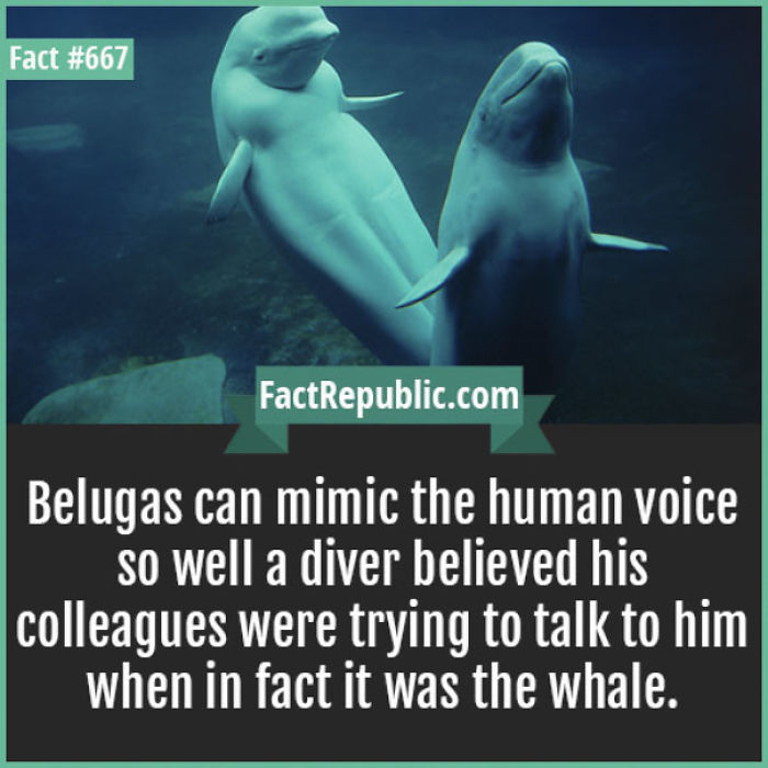 254 Incredible Facts That You Probably Didn&#8217;t Know