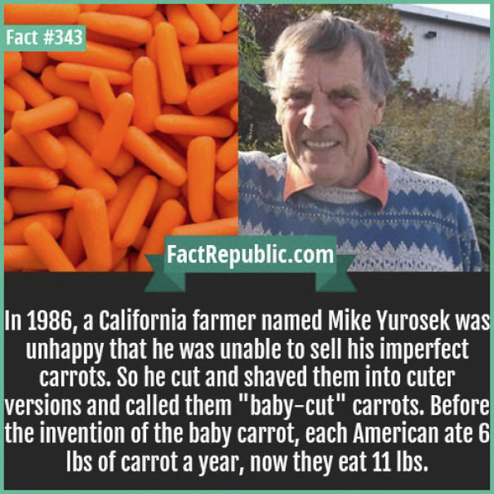 254 Incredible Facts That You Probably Didn&#8217;t Know