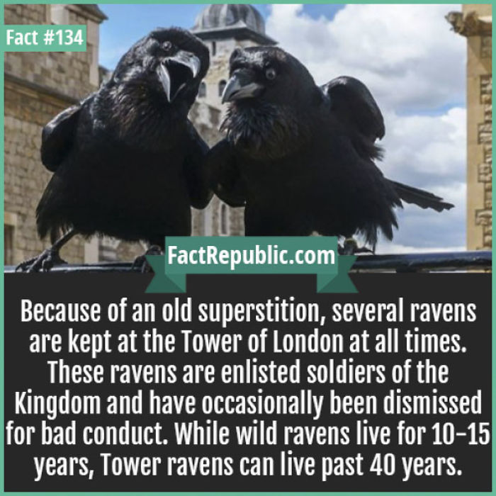 254 Incredible Facts That You Probably Didn&#8217;t Know