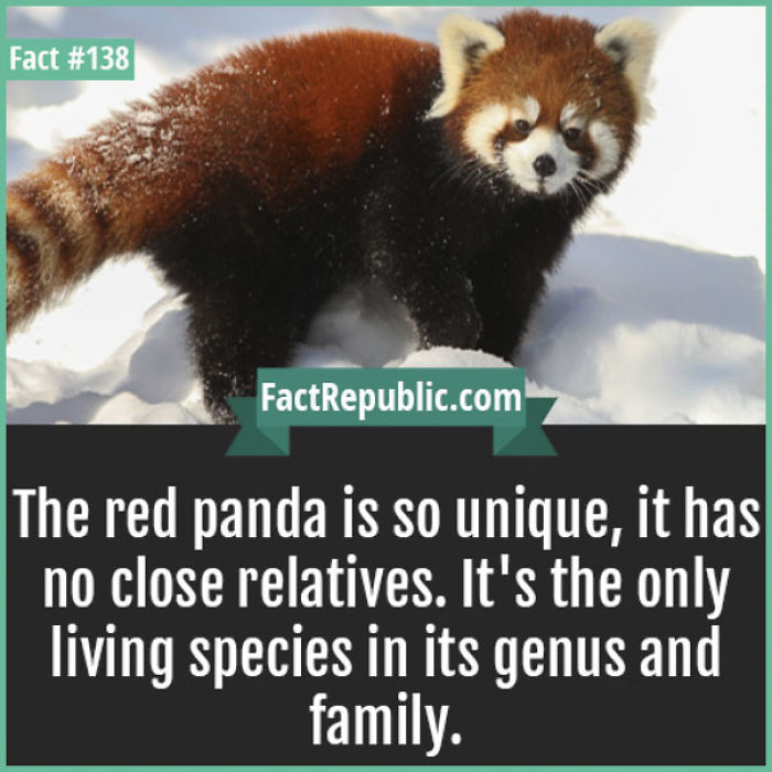 254 Incredible Facts That You Probably Didn&#8217;t Know