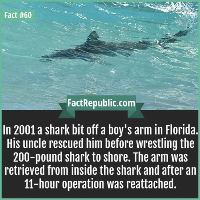 254 Incredible Facts That You Probably Didn&#8217;t Know