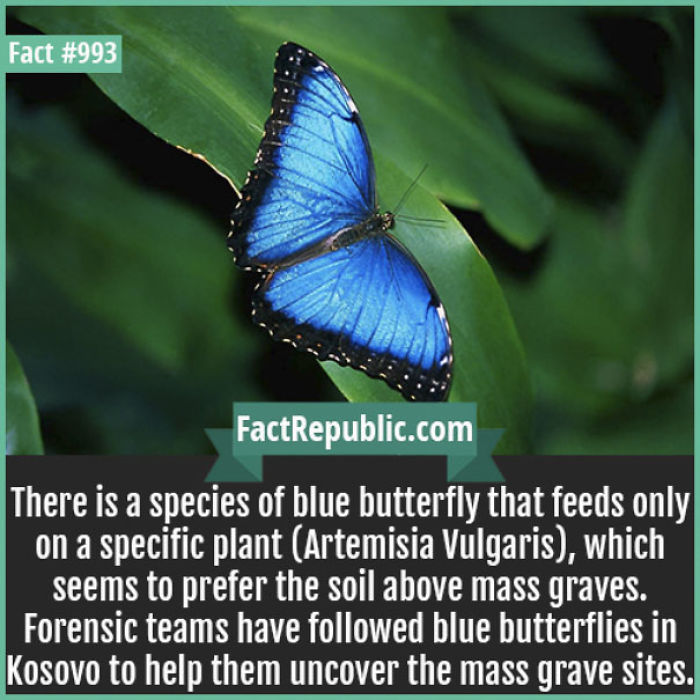 254 Incredible Facts That You Probably Didn&#8217;t Know