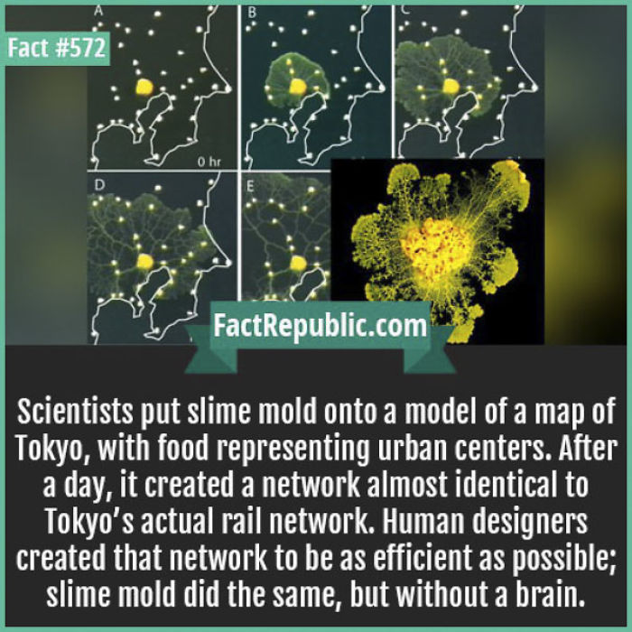 254 Incredible Facts That You Probably Didn&#8217;t Know