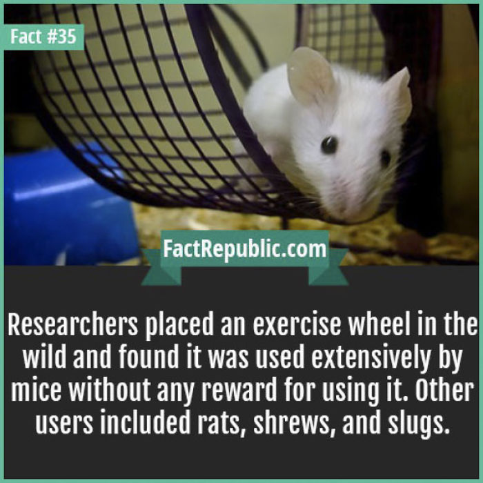 254 Incredible Facts That You Probably Didn&#8217;t Know