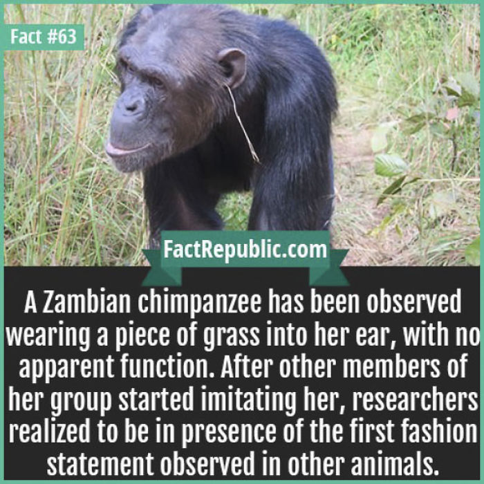 254 Incredible Facts That You Probably Didn&#8217;t Know