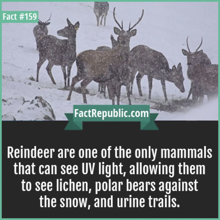 254 Incredible Facts That You Probably Didn&#8217;t Know