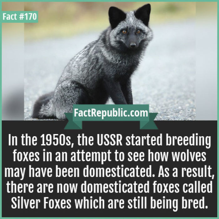 254 Incredible Facts That You Probably Didn&#8217;t Know