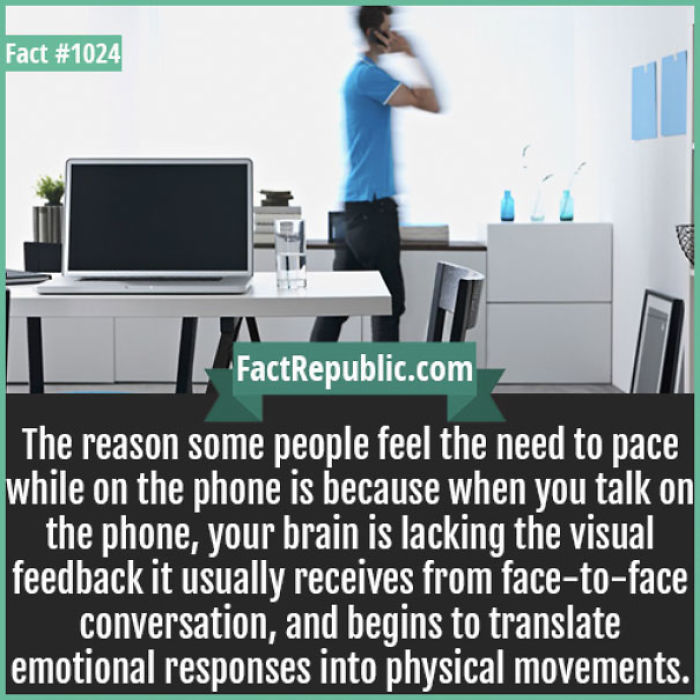 254 Incredible Facts That You Probably Didn&#8217;t Know