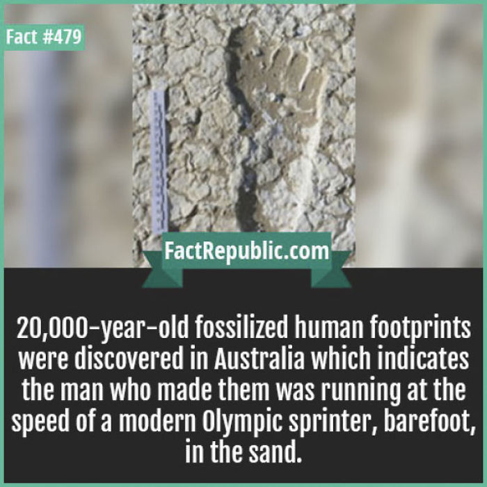 254 Incredible Facts That You Probably Didn&#8217;t Know