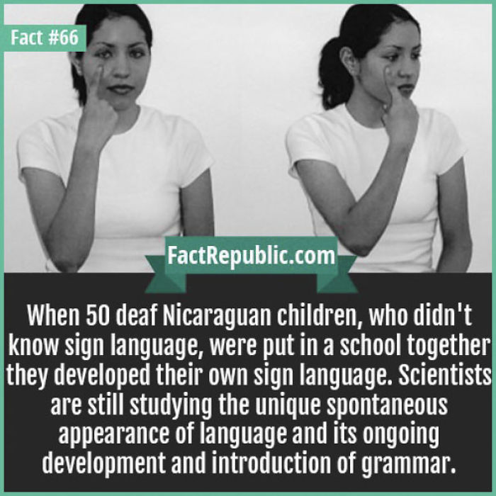 254 Incredible Facts That You Probably Didn&#8217;t Know