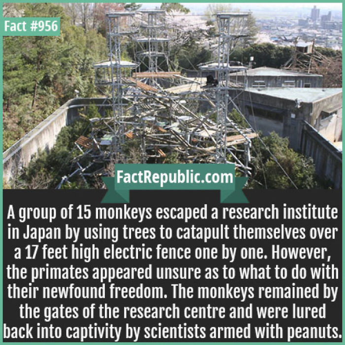 254 Incredible Facts That You Probably Didn&#8217;t Know