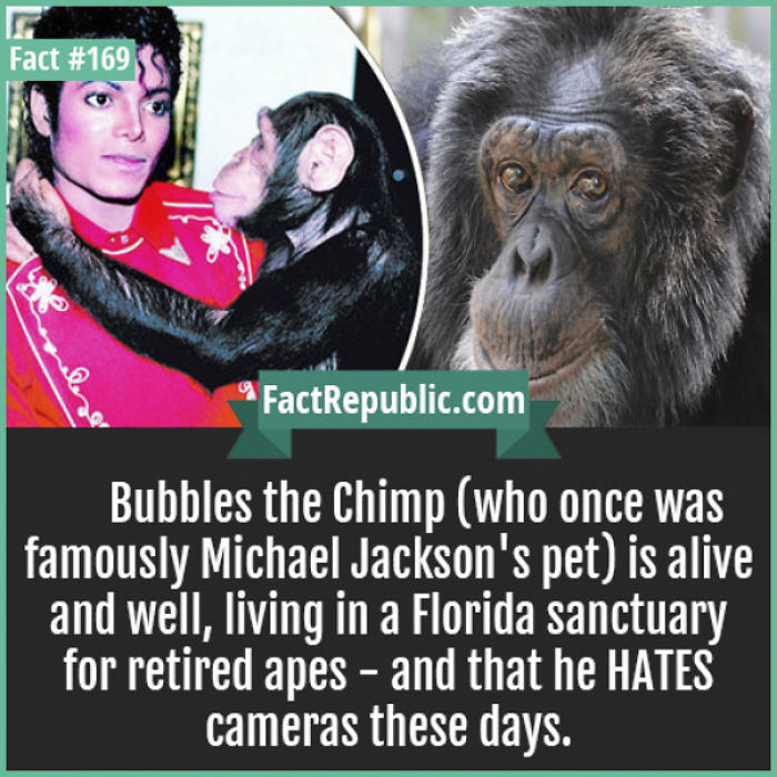 254 Incredible Facts That You Probably Didn&#8217;t Know