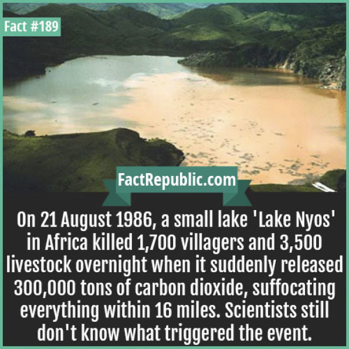 254 Incredible Facts That You Probably Didn&#8217;t Know