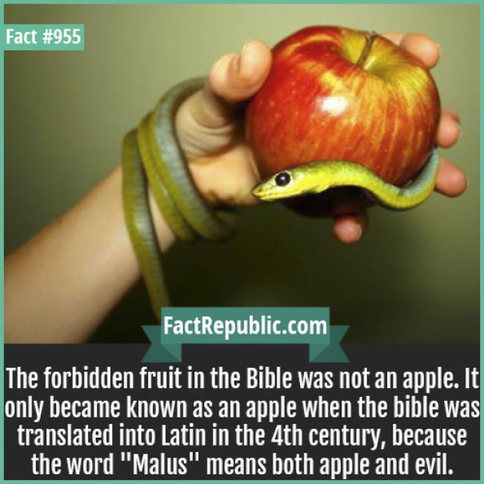254 Incredible Facts That You Probably Didn&#8217;t Know