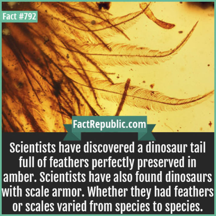 254 Incredible Facts That You Probably Didn&#8217;t Know
