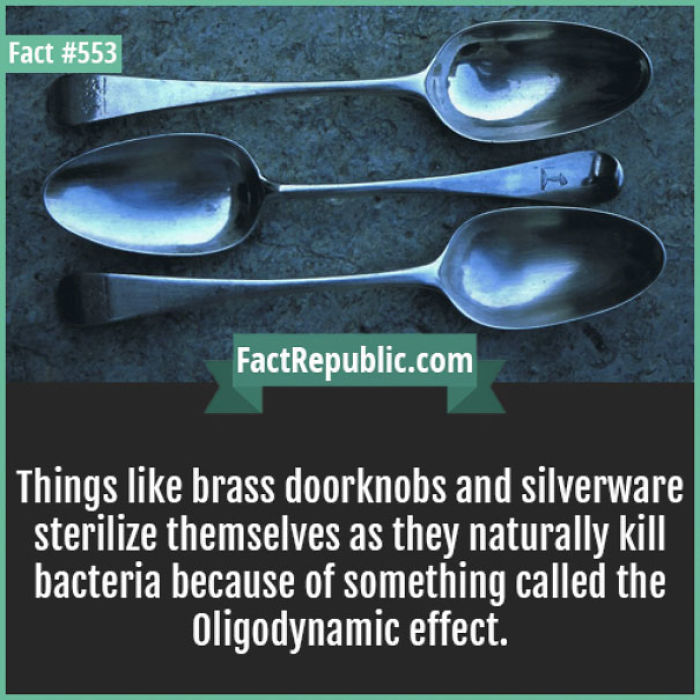 254 Incredible Facts That You Probably Didn&#8217;t Know