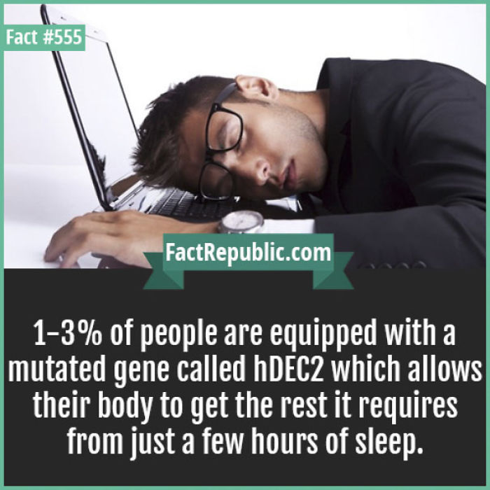 254 Incredible Facts That You Probably Didn&#8217;t Know