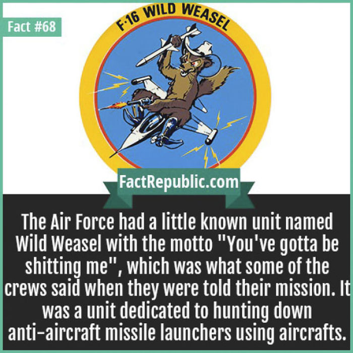 254 Incredible Facts That You Probably Didn&#8217;t Know
