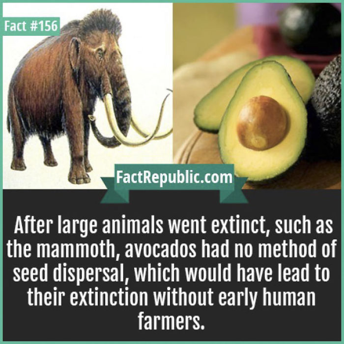 254 Incredible Facts That You Probably Didn&#8217;t Know