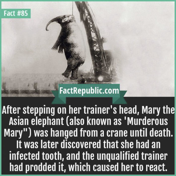 254 Incredible Facts That You Probably Didn&#8217;t Know