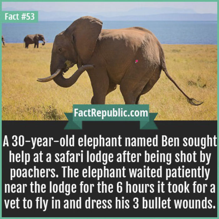 254 Incredible Facts That You Probably Didn&#8217;t Know