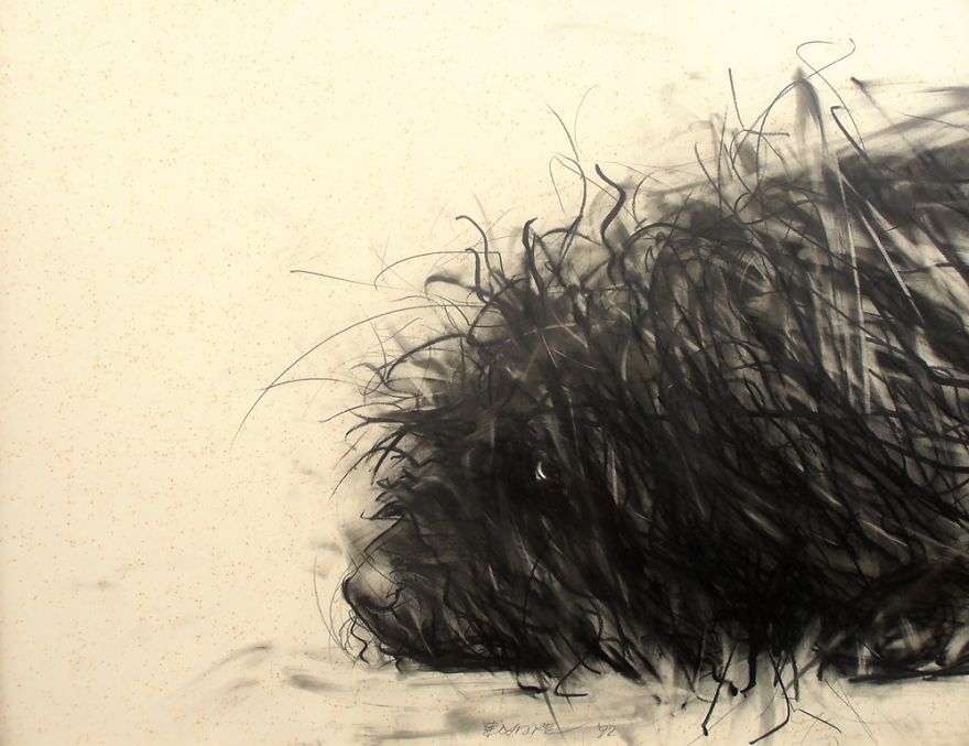Gloomy Portraits Of Dogs That Seem To Fade Into The Paper