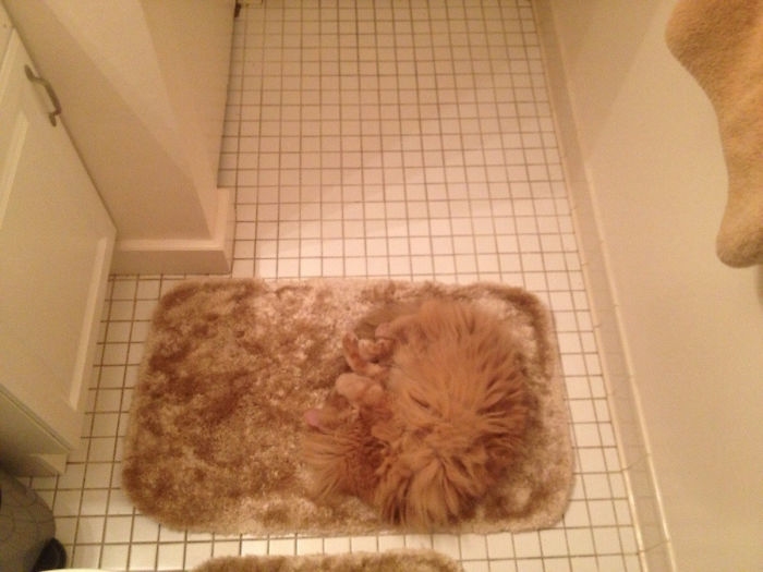 117 Times People Miraculously Avoided The Biggest Disasters 117 Times People Miraculously Avoided The Biggest Disasters