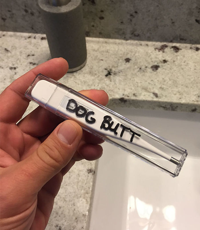 117 Times People Miraculously Avoided The Biggest Disasters 117 Times People Miraculously Avoided The Biggest Disasters