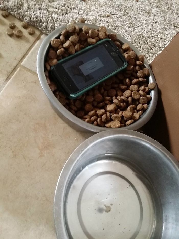 117 Times People Miraculously Avoided The Biggest Disasters 117 Times People Miraculously Avoided The Biggest Disasters