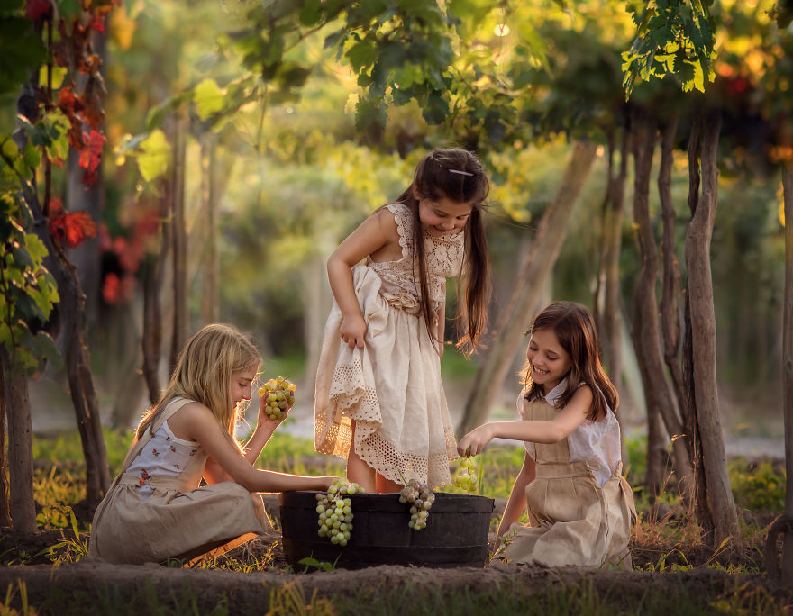 Images In A Vinyard, La Vendimia Images In A Vinyard, La Vendimia