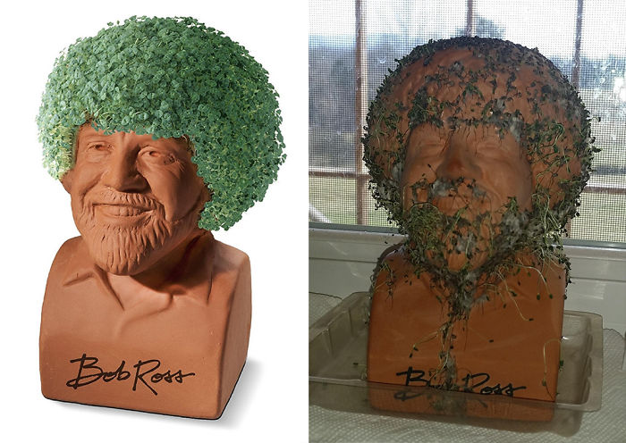 126 Epic Design Fails We Can’t Believe Actually Happened 126 Epic Design Fails We Can’t Believe Actually Happened