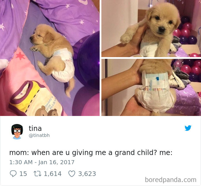 30 Hilarious Tweets By Single People That Will Make You Laugh Then Cry