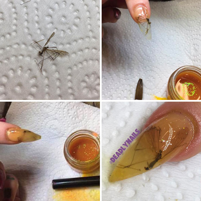 55 “DIY WHY” Projects That Probably Should Have Never Happened 55 “DIY WHY” Projects That Probably Should Have Never Happened