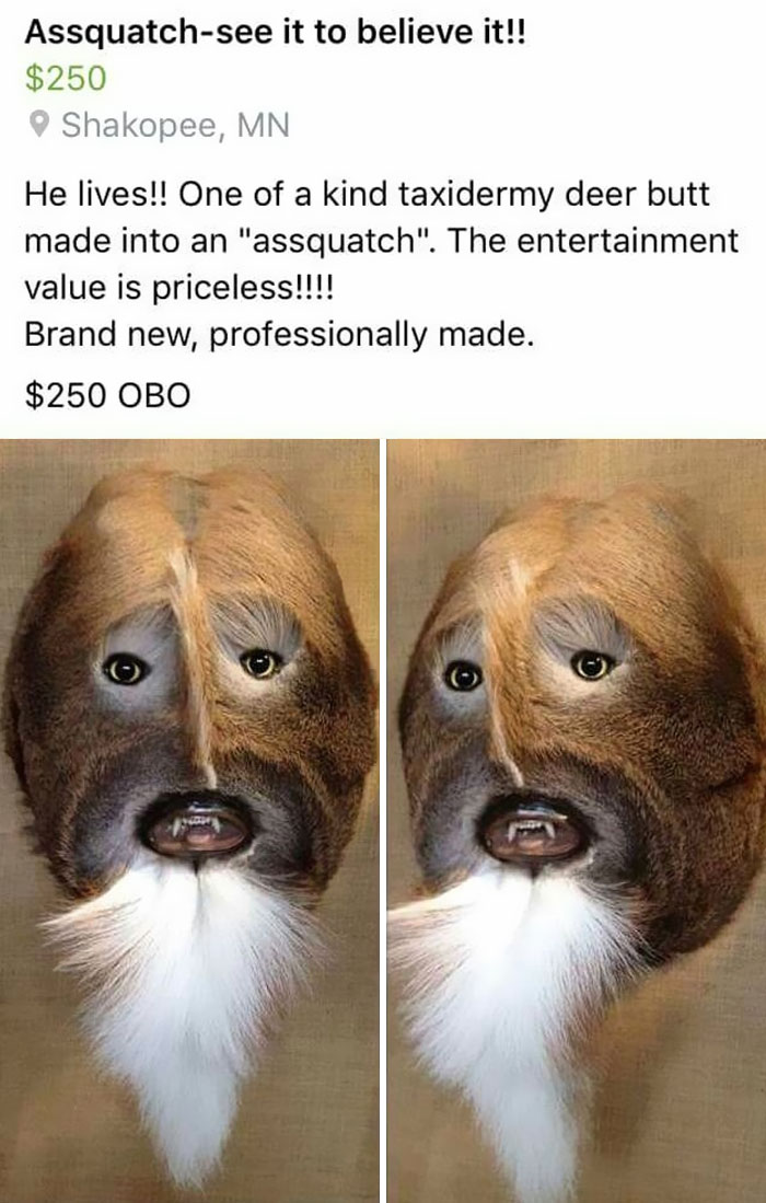 55 “DIY WHY” Projects That Probably Should Have Never Happened 55 “DIY WHY” Projects That Probably Should Have Never Happened