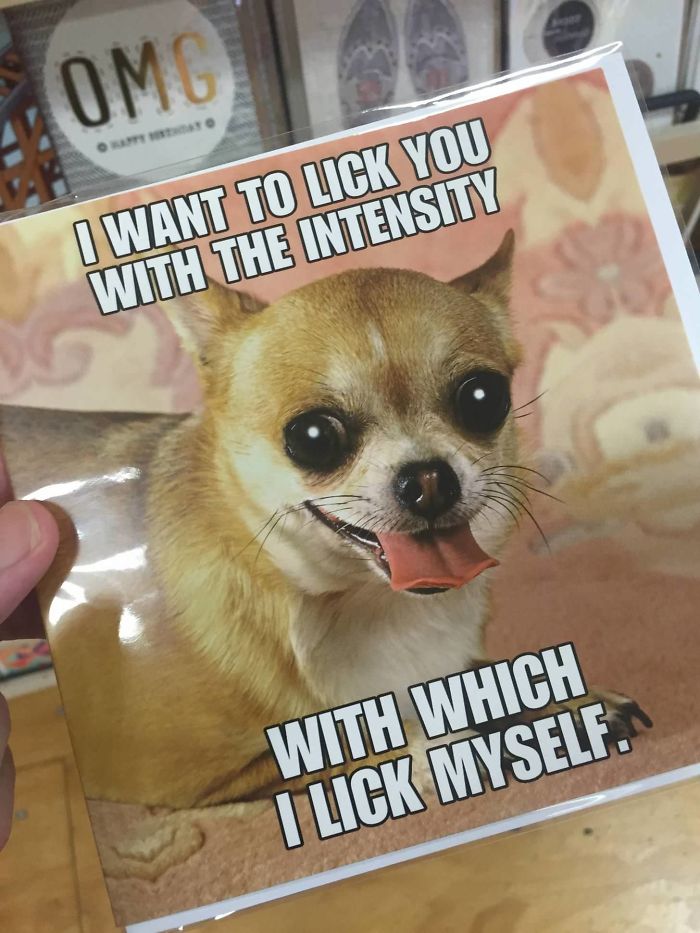 42 Funny Valentine’s Day Gifts And Cards By People With An Unconventional Definition Of Romance