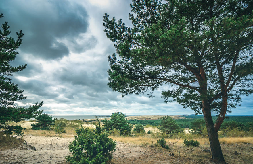 A Gem Of The Baltic Sea – Curonian Spit In Lithuania, Perfect Place For Connecting With Nature