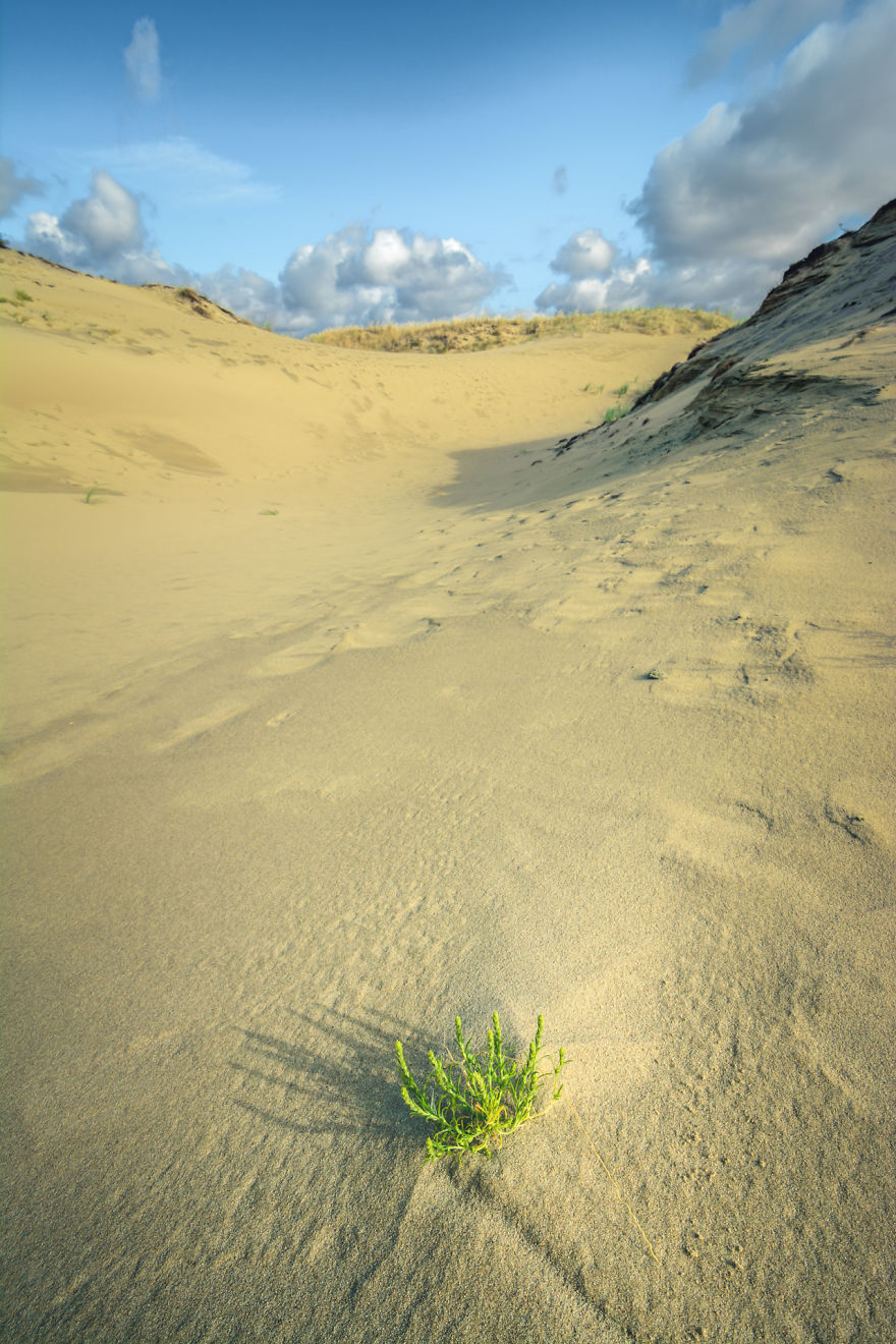A Gem Of The Baltic Sea – Curonian Spit In Lithuania, Perfect Place For Connecting With Nature
