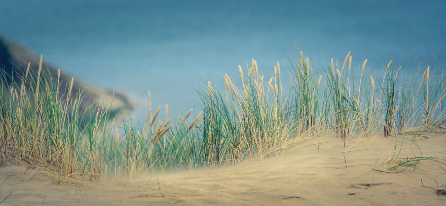 A Gem Of The Baltic Sea – Curonian Spit In Lithuania, Perfect Place For Connecting With Nature