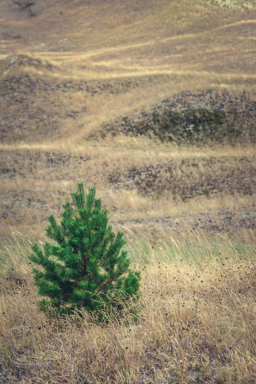 A Gem Of The Baltic Sea – Curonian Spit In Lithuania, Perfect Place For Connecting With Nature