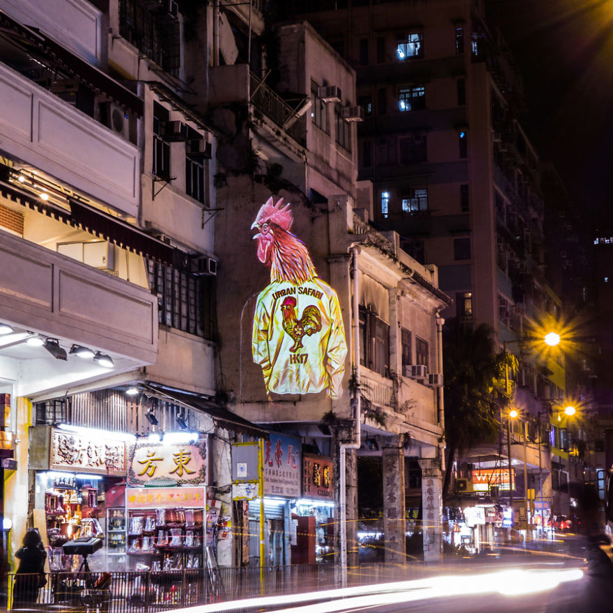 Safari Urbain – Hk Zoodiac Series Safari Urbain – Hk Zoodiac Series